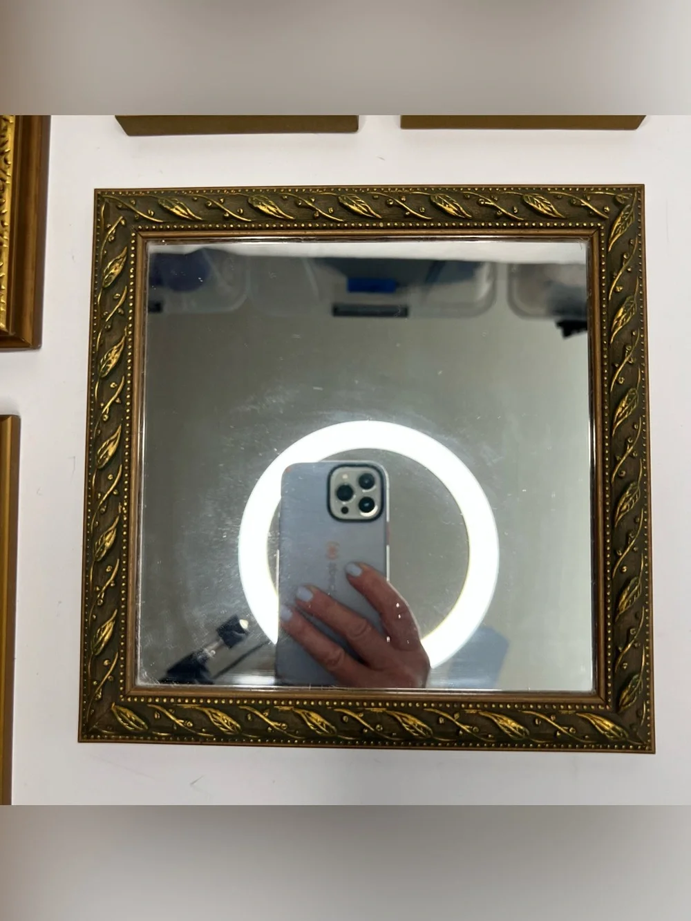 Vintage Gold Framed Decorative Mirrors Set of 5
